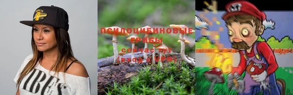 прущий лед Арсеньев