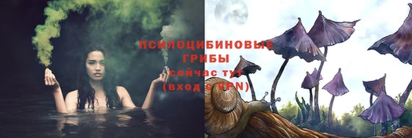 спайс Аркадак