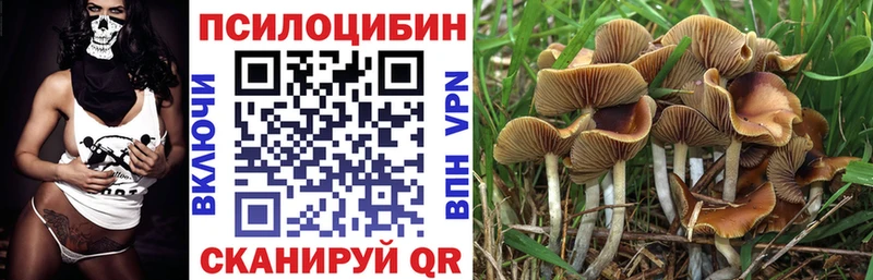 сколько стоит blacksprut tor Псилоцибиновые грибы Magic Shrooms Видное